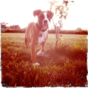 Hip 334712535.808671