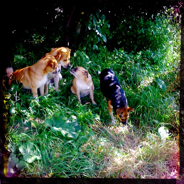 Hip 332757143.808935