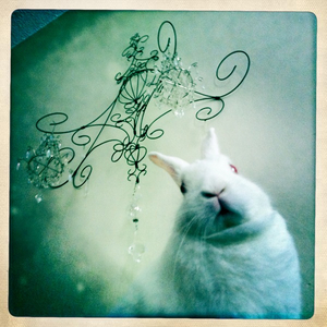 Hip 334961402.314643