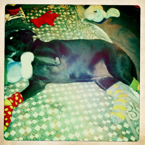 Hip 334635427.396120