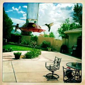 Hip 334956446.454281