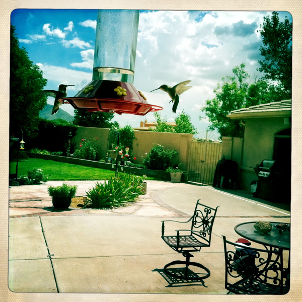 Hip 334956446.454281