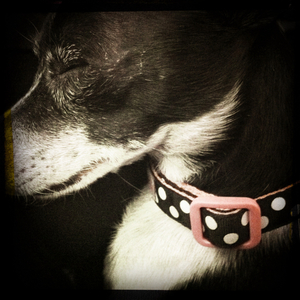 Hip 332269240.479564