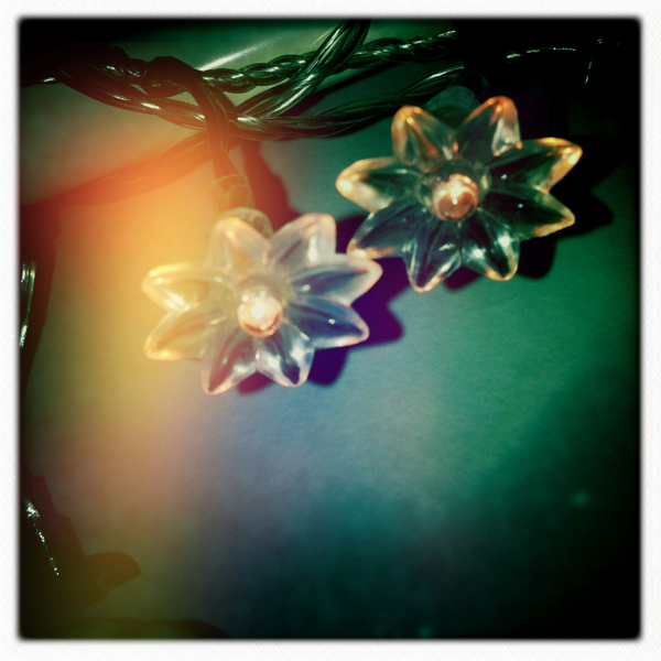 Hip 334969761.564291