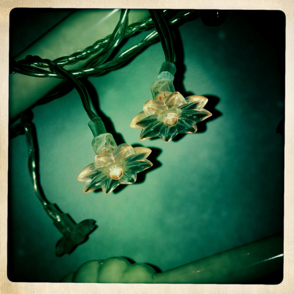 Hip 334968883.102090