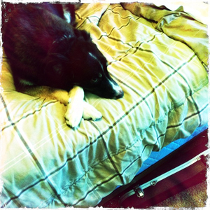 Hip 334970193.784869