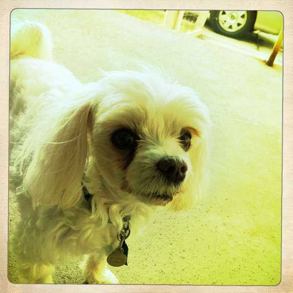 Hip 334971820.376765