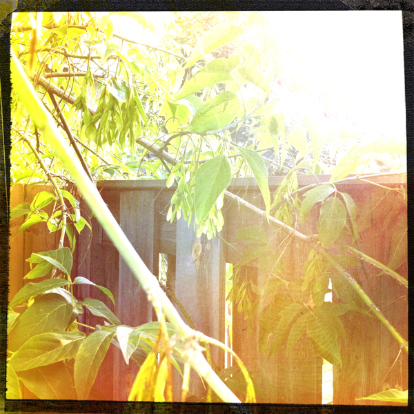 Hip 334619741.475776