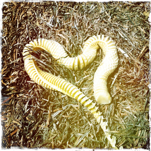 Hip 334770945.654228