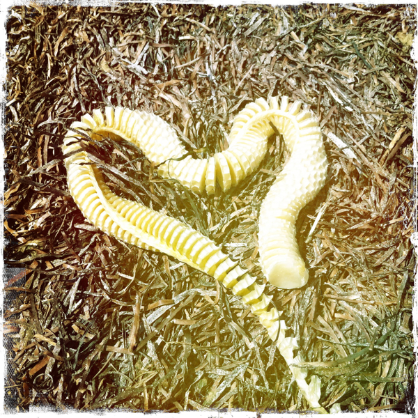 Hip 334770945.654228