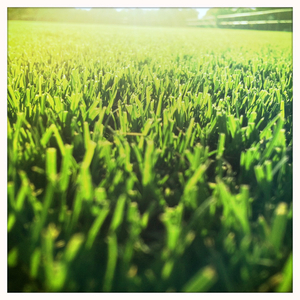 Hip 334973828.818314