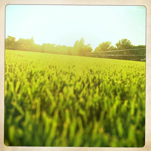 Hip 334973815.451251