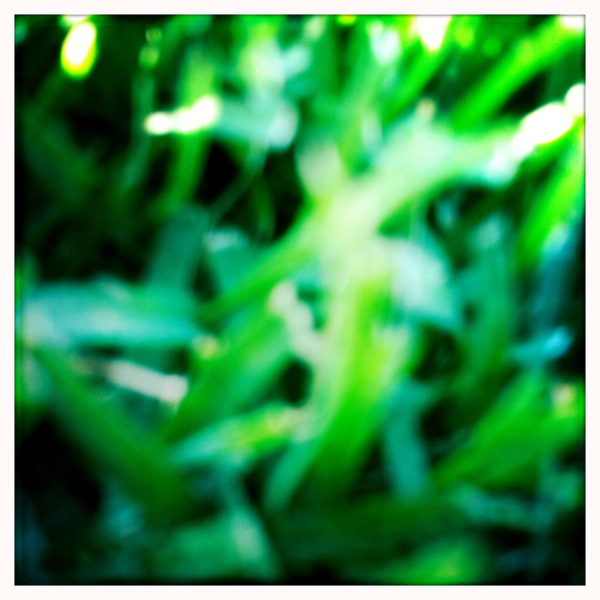 Hip 334973843.622809