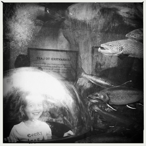 Hip 331069095.875534