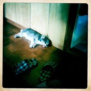 Hip 334976066.338986