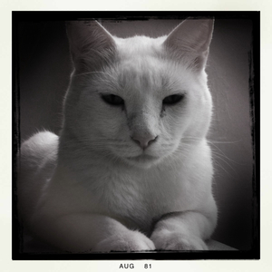 Hip 334932046.034040