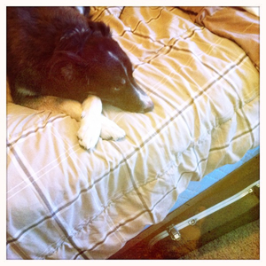 Hip 334970199.746235