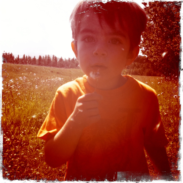 Hip 334349740.172022