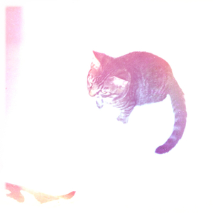 Hip 334981915.865139