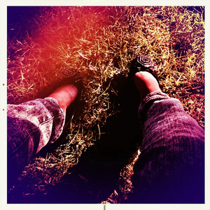 Hip 332047616.228424