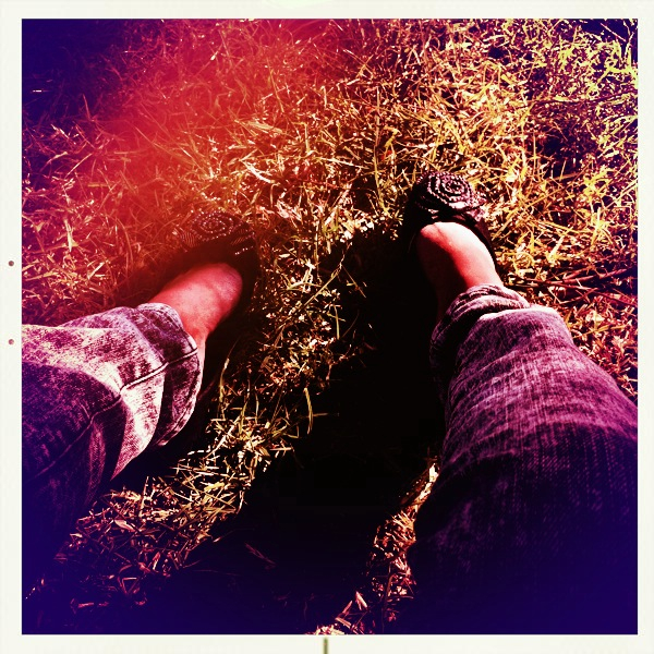 Hip 332047616.228424