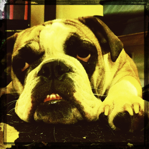 Hip 334983477.778715