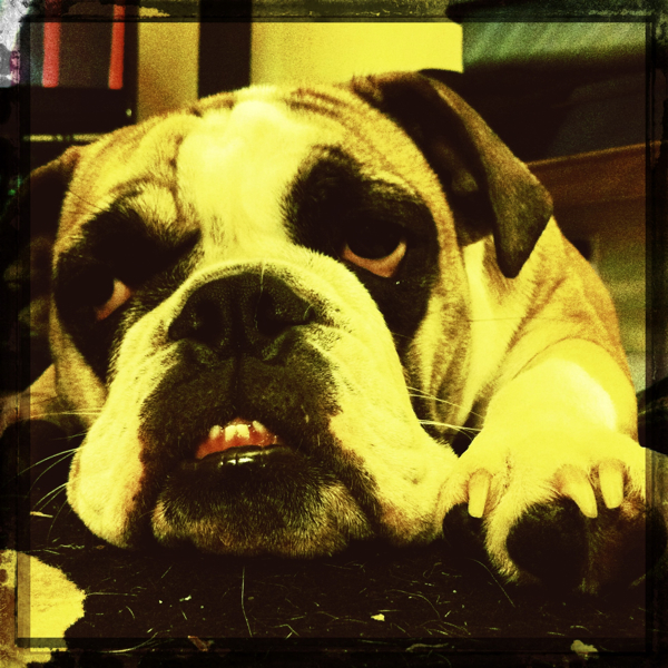 Hip 334983477.778715