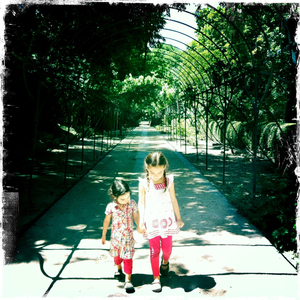 Hip 331989762.835523