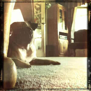 Hip 334969642.604600