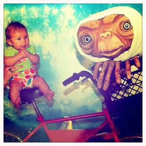 Hip 334985537.428885