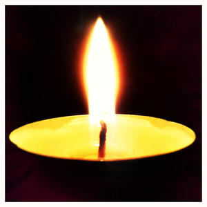 Hip 334986716.771245