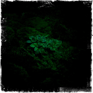 Hip 328325241.618860