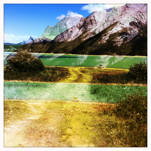 Hip 333840484.228759