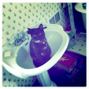 Hip 328293325.958687