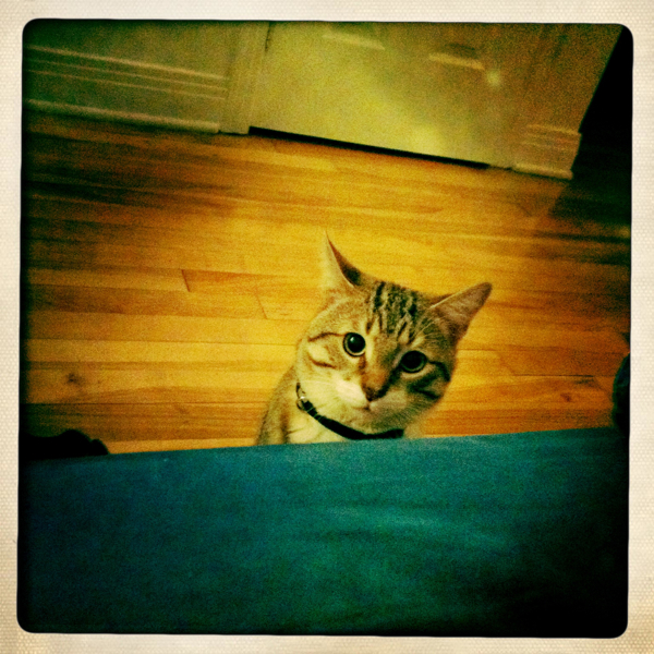 Hip 328503291.396981