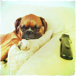 Hip 323703007.318585