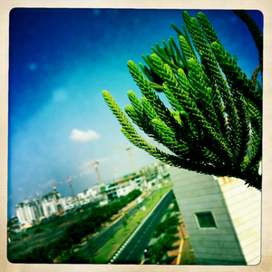 Hip 334929571.793994