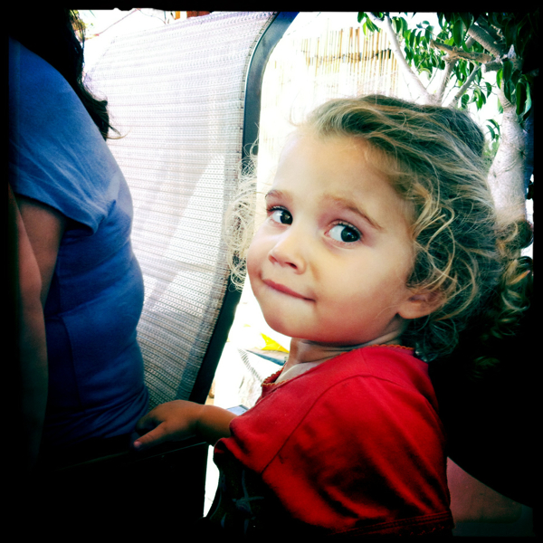 Hip 334932623.341442