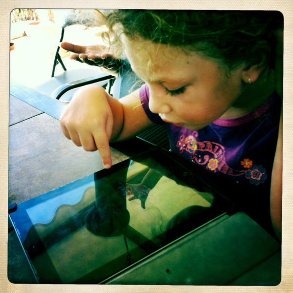 Hip 334932492.617604