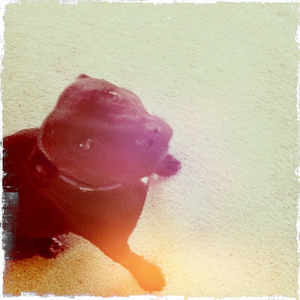 Hip 320052395.057601