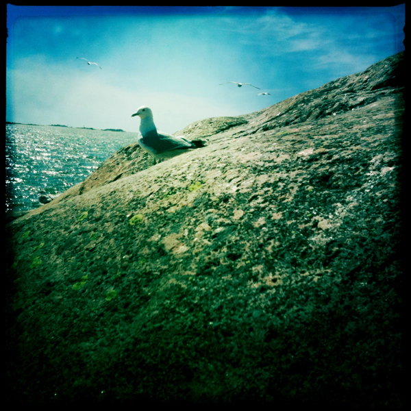 Hip 332336380.937966