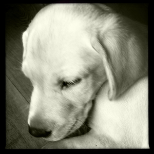 Hip 335002825.407765