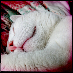 Hip 330441595.695869