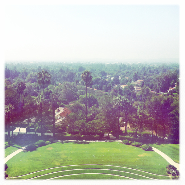 Hip 332962233.341002