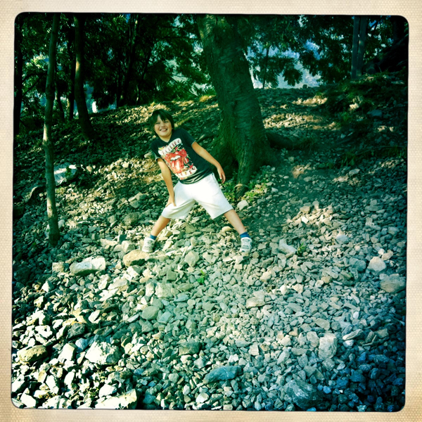 Hip 334946909.326813