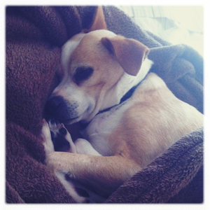 Hip 332437922.972309