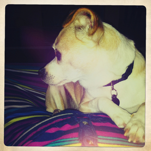 Hip 331355300.191679