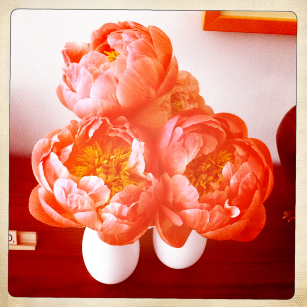 Hip 329093944.246681