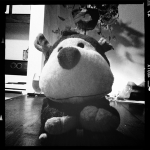 Hip 335008376.882848