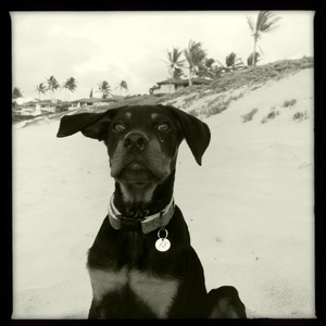 Hip 332830619.208807